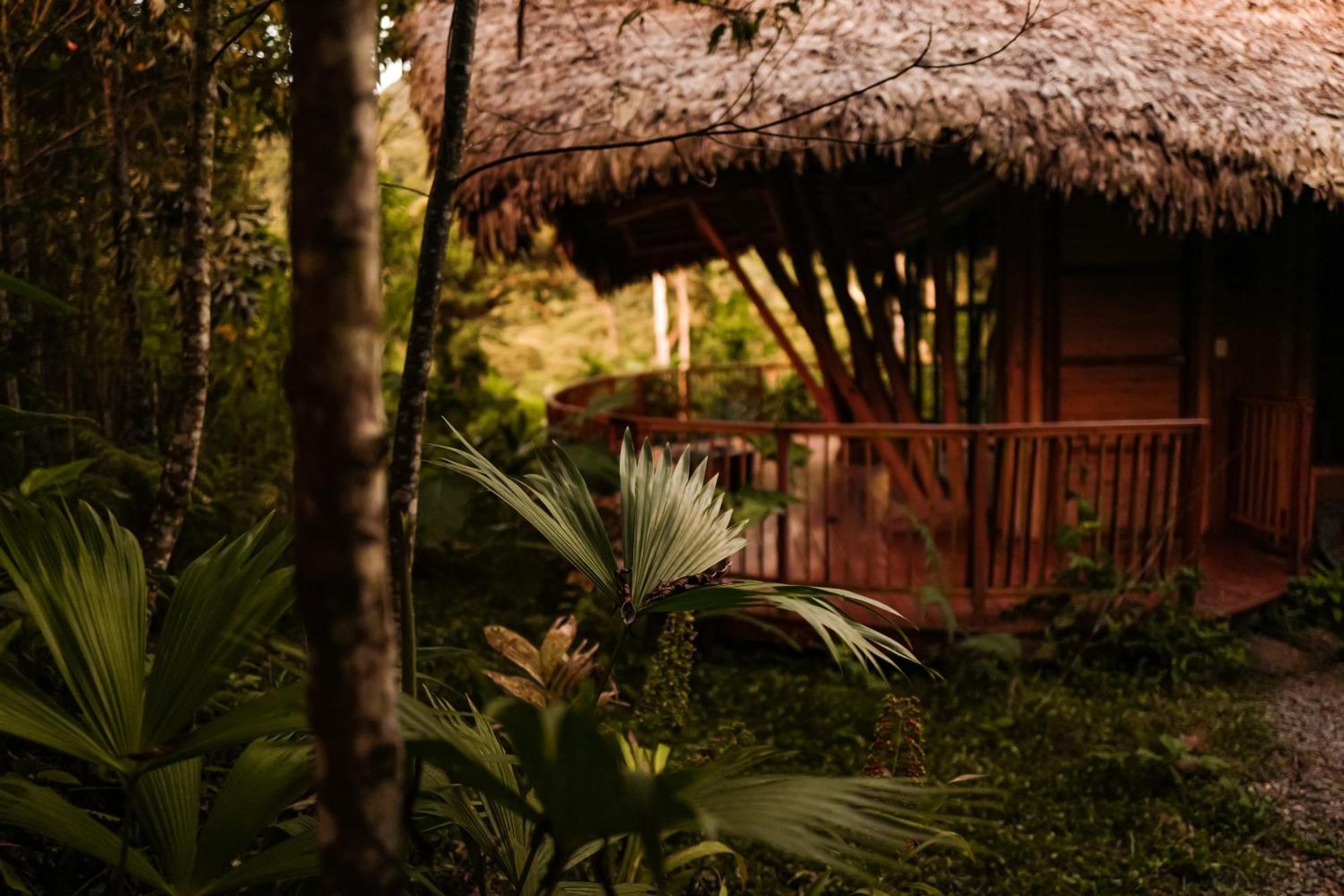 Bosque Guardian Lodge Тарапото Экстерьер фото