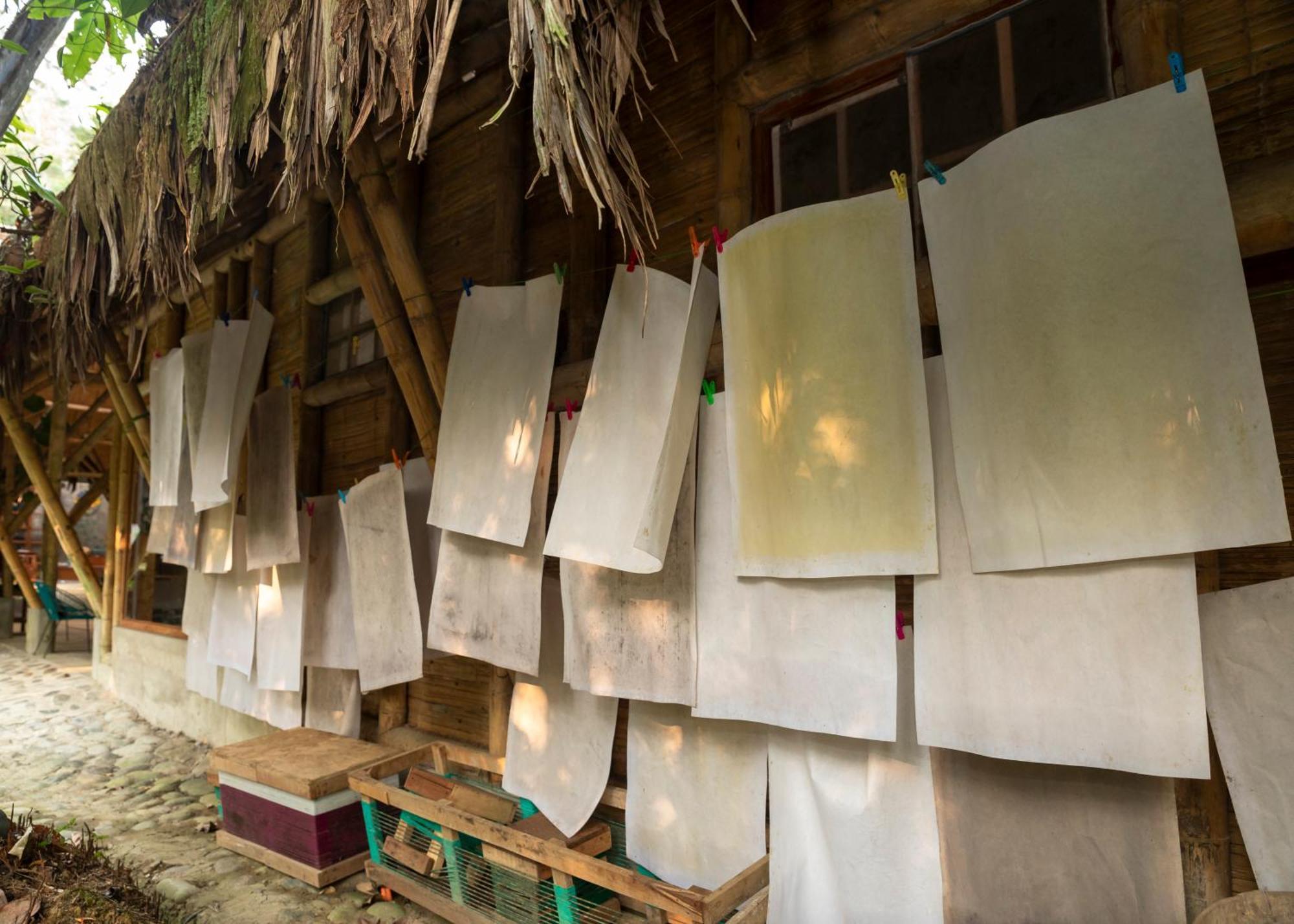 Bosque Guardian Lodge Тарапото Экстерьер фото