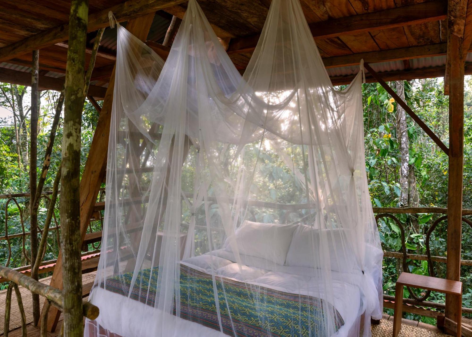 Bosque Guardian Lodge Тарапото Экстерьер фото