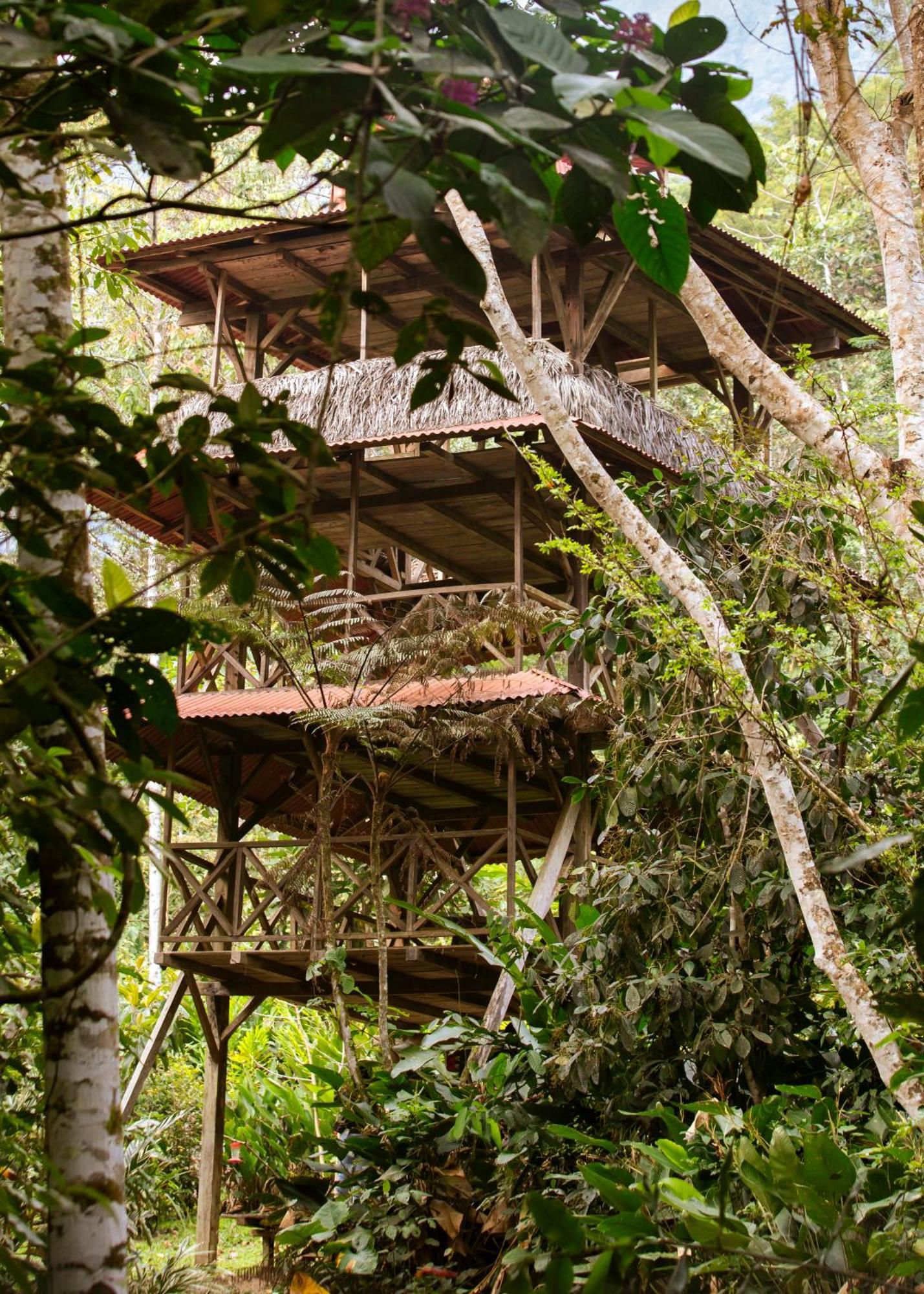 Bosque Guardian Lodge Тарапото Экстерьер фото
